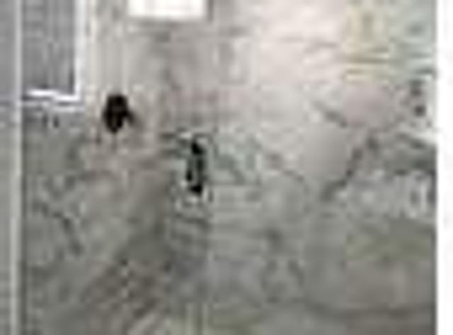 House for rent in Samaria, Michigan