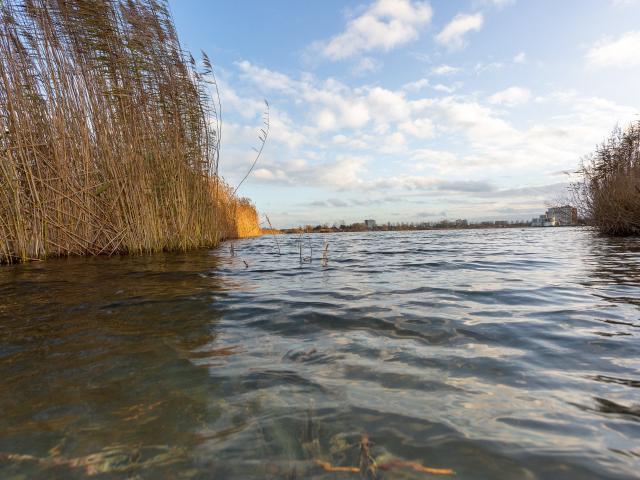 Woning te huur in Noordhove, Zoetermeer