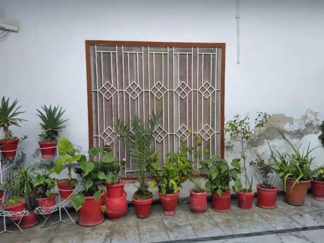 House for rent in Haripur, North West Frontier Province