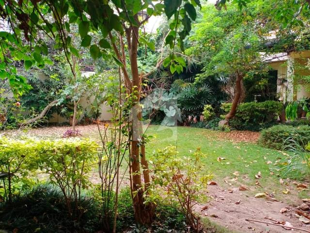 House for rent in Islamabad