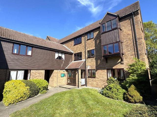House for rent in New Catton, East Bank