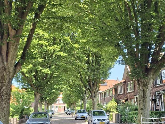 Woning te huur in Tuinstadwijk, Zuid Holland