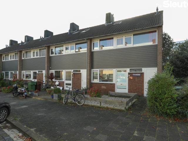 Woning te huur in Bos- en Gasthuizen, Leiden