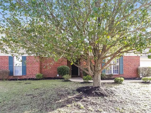 House for rent in Olive Branch