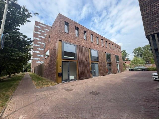 Woning te huur in Meeuwenplaat, Hoogvliet