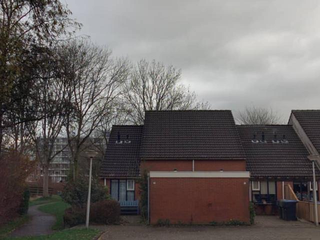 Woning te huur in Aldlân, Leeuwarden