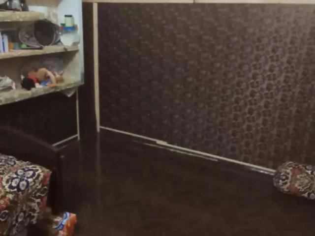 House for rent in Okara, Islamabad Capital Territory