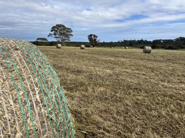 House for sale in Seddon, South Australia