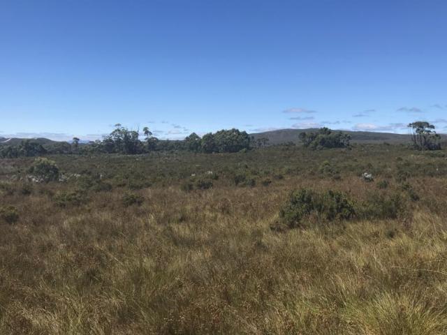 House for sale in Zeehan, Tasmania