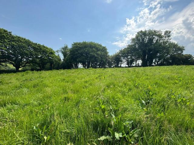 House for sale in Strode, Devon