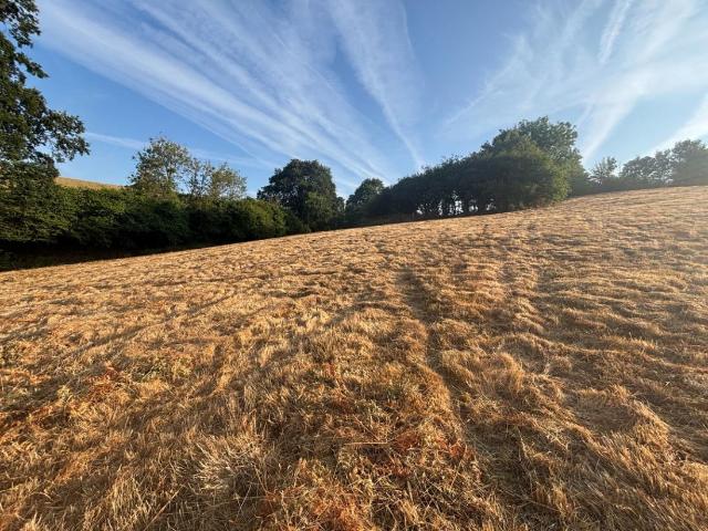 House for sale in Bridford, Devon