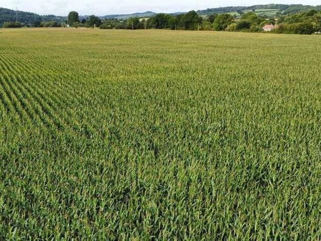 House for sale in Budlake, Devon