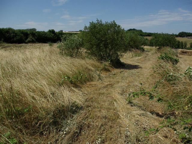 House for sale in Strode, Devon