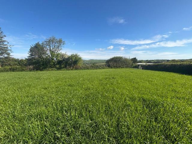 House for sale in Strode, Devon