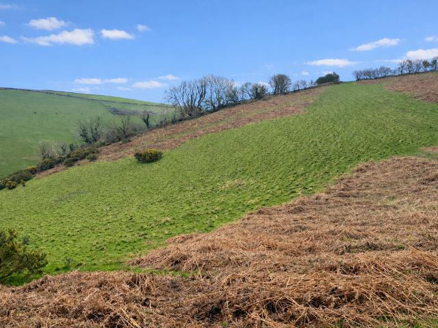 House for sale in Strode, Devon