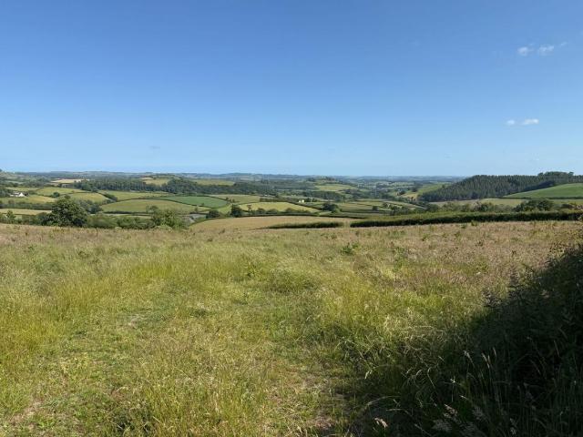 House for sale in Woodland, Bridford
