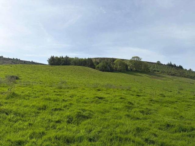 House for sale in Wales