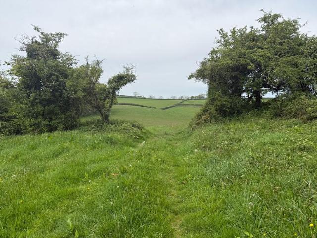 House for sale in Woodland, Bridford
