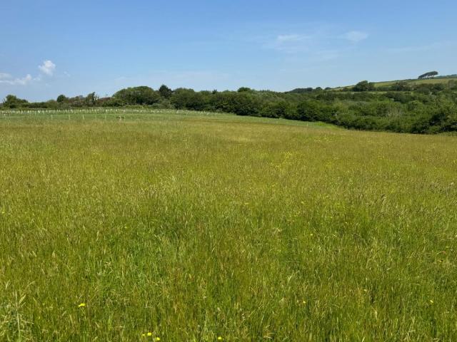 House for sale in Strode, Devon