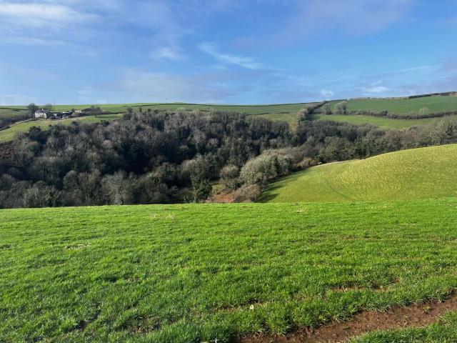 House for sale in Strode, Devon