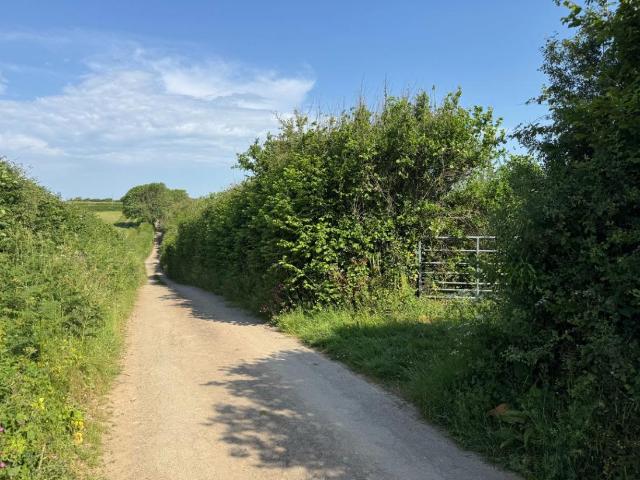 House for sale in Strode, Devon