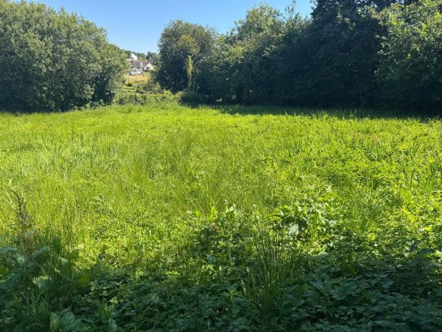 House for sale in Chillington, South Hams