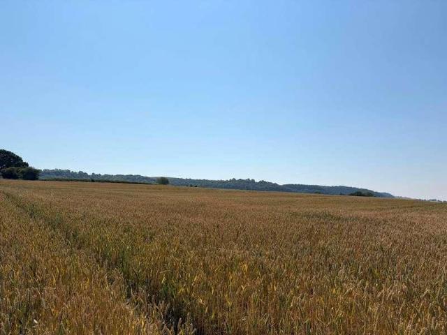 House for sale in Craven Arms, Shropshire