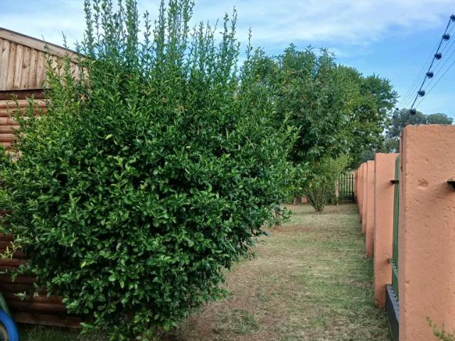 House for sale in Oranjeville, Free State