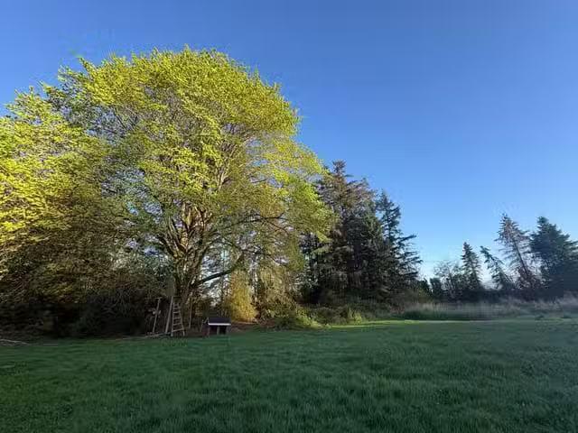 House for sale in Surrey, British Columbia