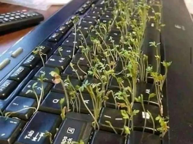 House for sale in Taxila, Islamabad Capital Territory