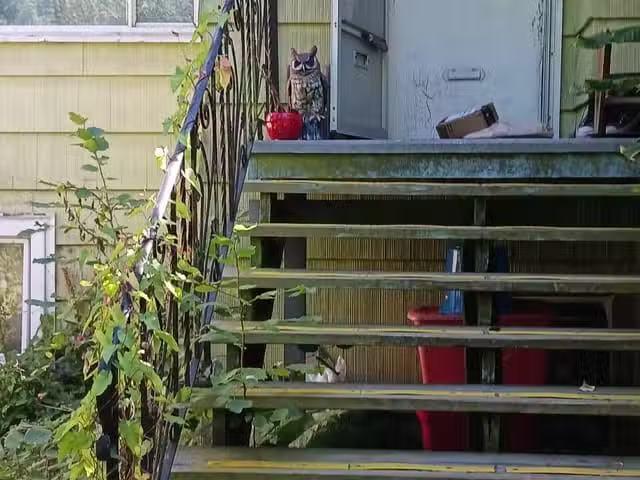 House for sale in Vancouver, British Columbia