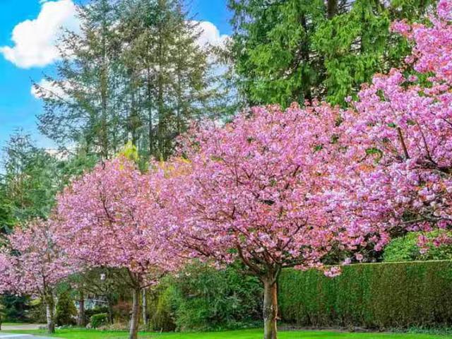 House for sale in Vancouver, British Columbia