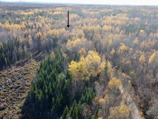 House for sale in Greenbush, Maine