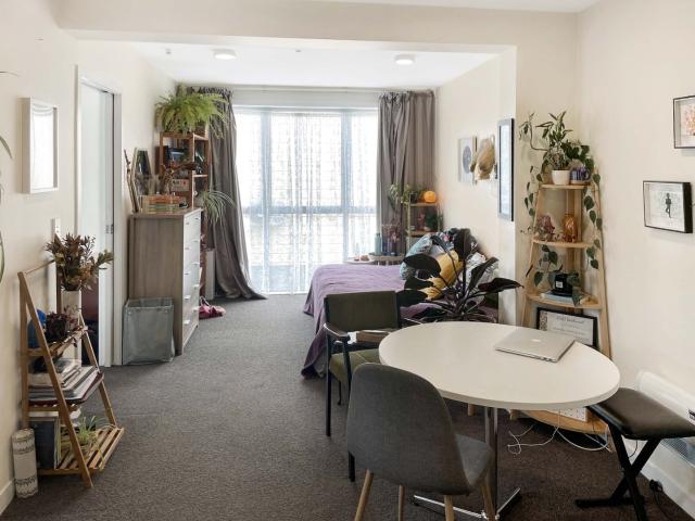 House for rent in Aro Valley, Wellington