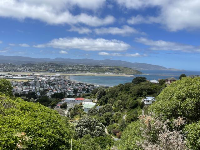 House for rent in Matata, Wellington