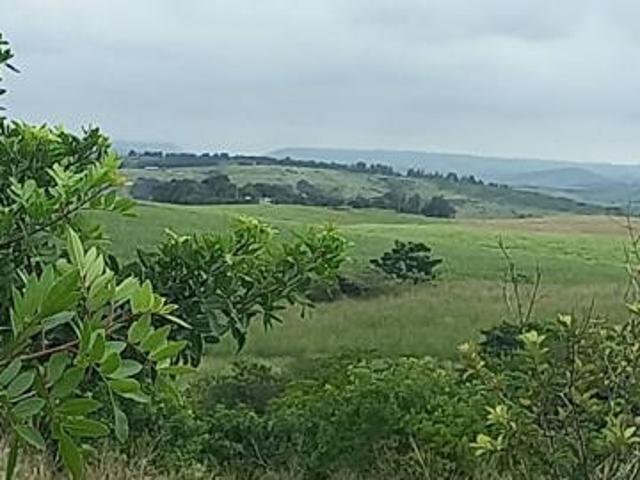 Land for sale in Princess Grant, Kwazulu-natal