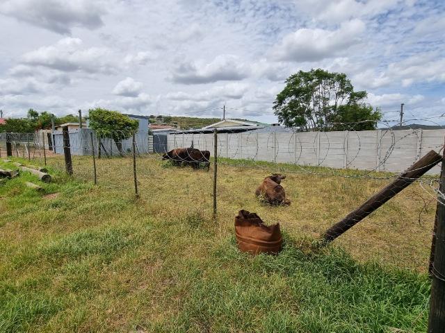 House for sale in Groot Brak Rivier, Western Cape