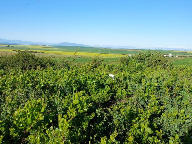 House for sale in West Coast, Riebeeck Valley