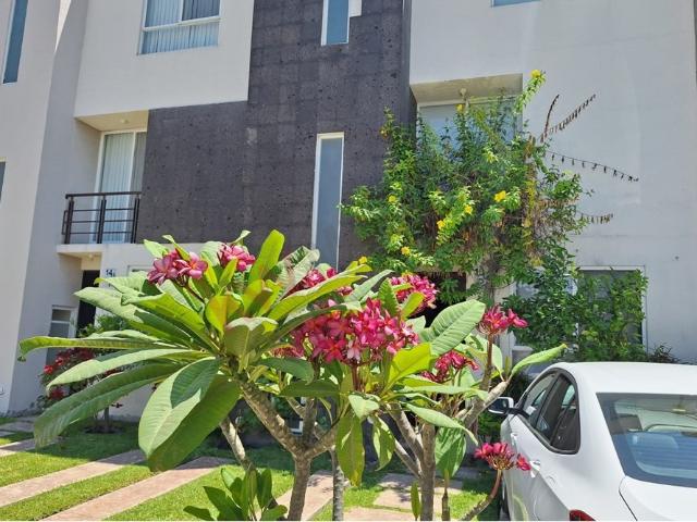 Casa en renta en Morelos