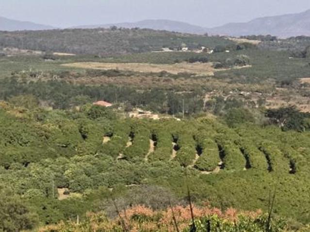 Property for sale in Mopani, Limpopo