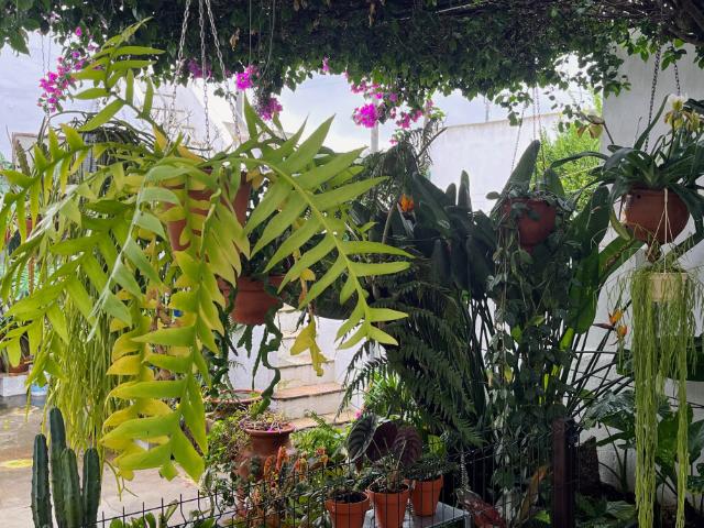 Casa alugar em Quinta do Anjo, Palmela