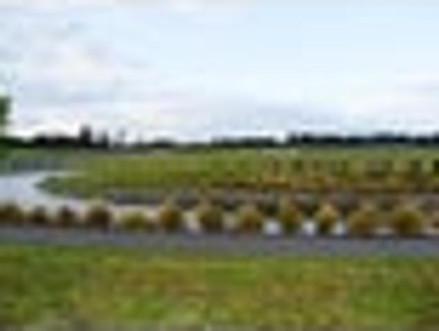 Land for sale in Canterbury