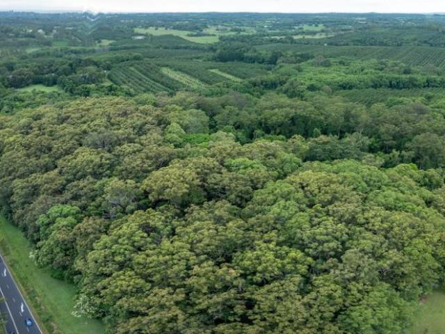 House for sale in Lindendale, Lismore City Council