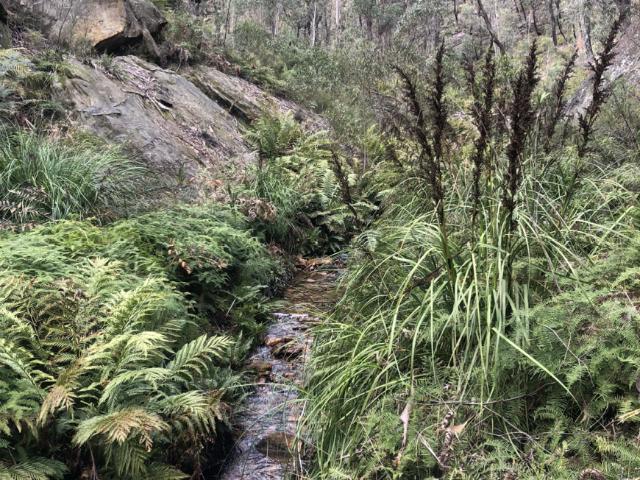 House for sale in Lithgow, New South Wales