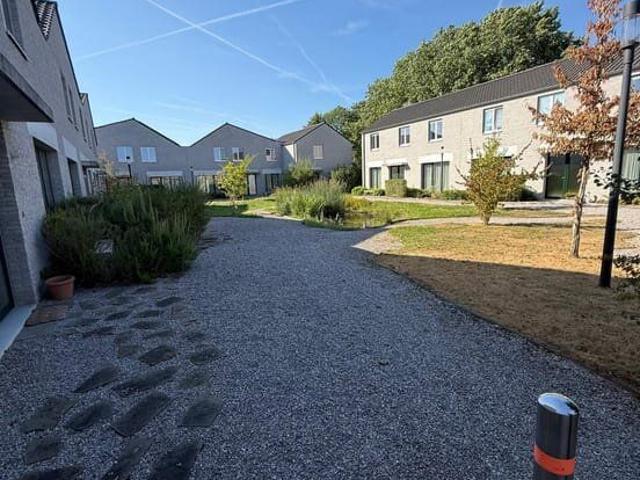 Maison location à Audenarde, Oost-Vlaanderen