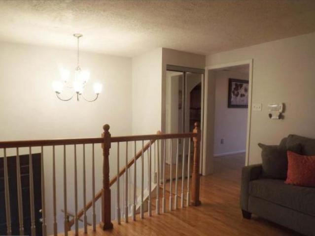 Room for rent in Belleair Estates, Friendly