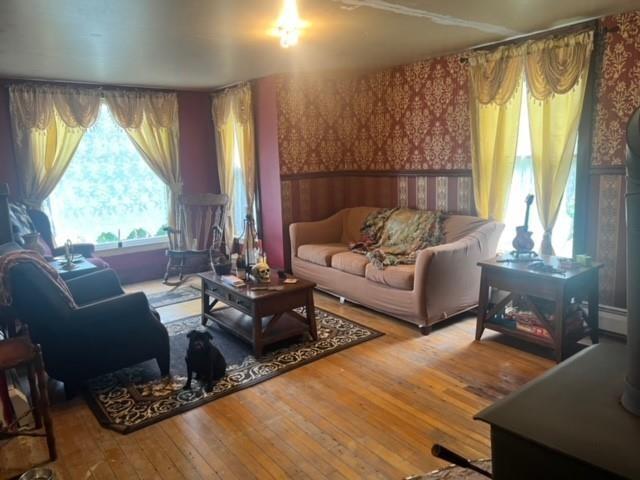 House for sale in Cayuga, New York