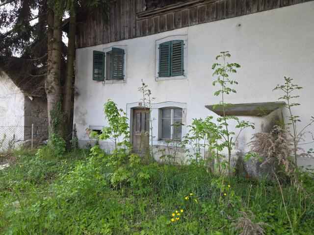 Haus kaufen in Haute-Sorne, Jura