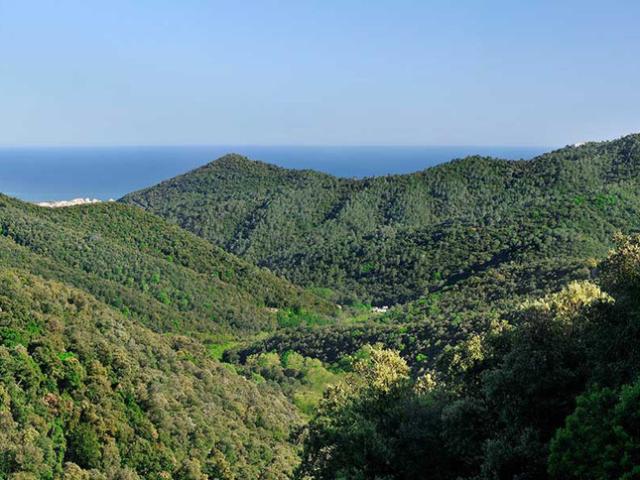 Casa en alquiler en Sant Cebrià De Vallalta, Can Palau Casa en alquiler en Sant Cebrià De Vallalta, Can Palau