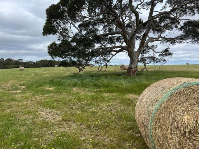 House for sale in Seddon, South Australia